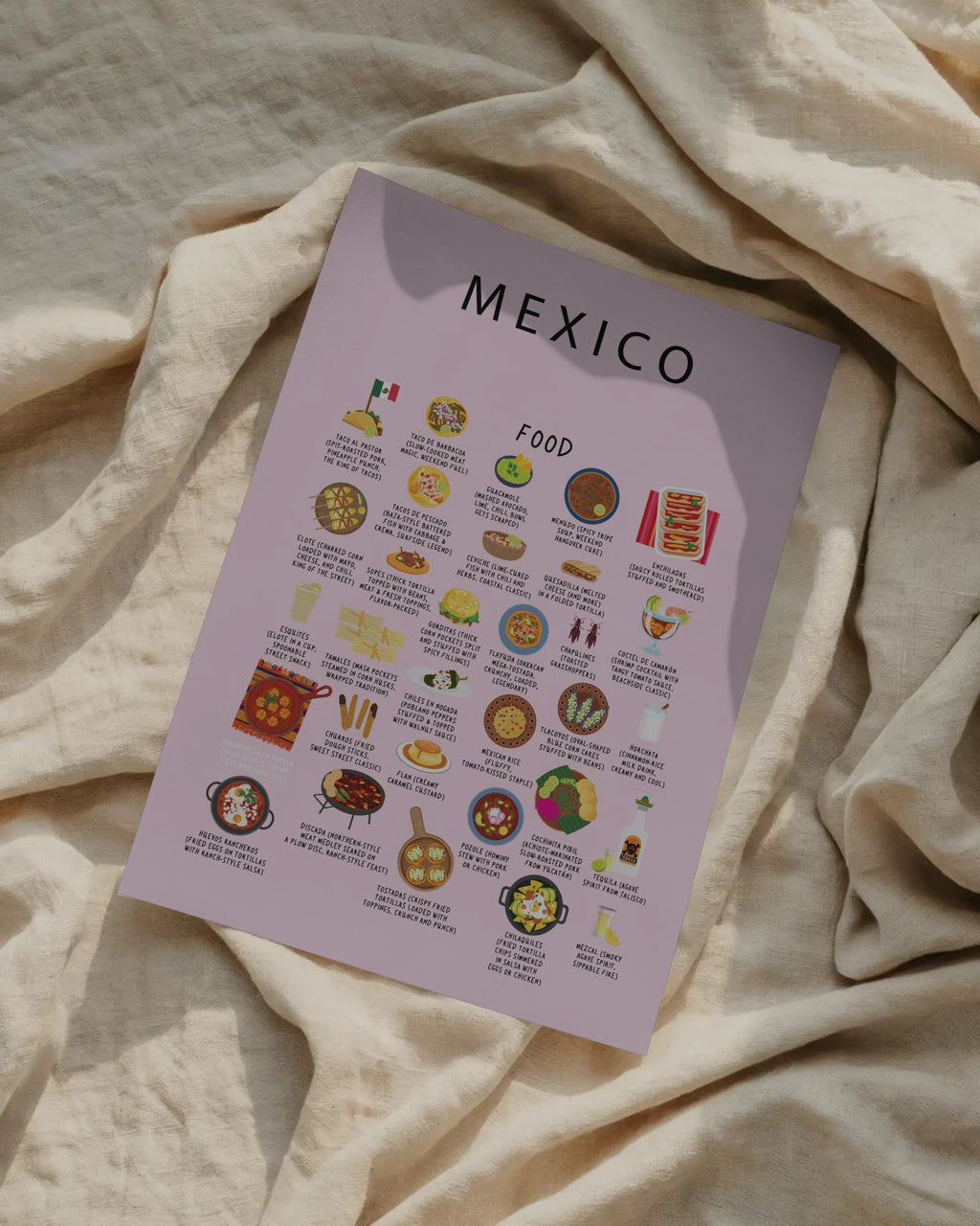 Mexico Food Poster Pink